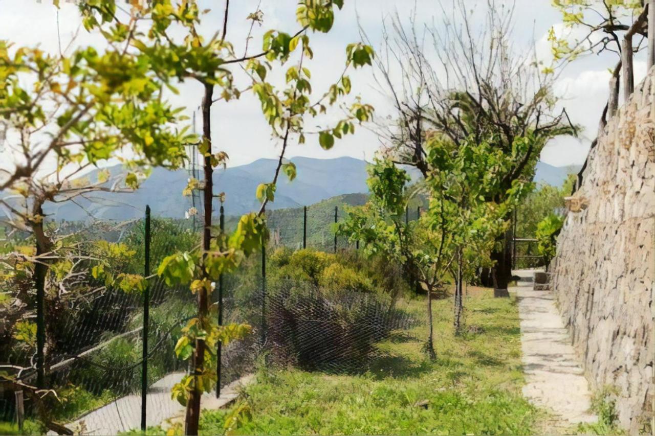 Casa Roberto B&B Savona Eksteriør bilde
